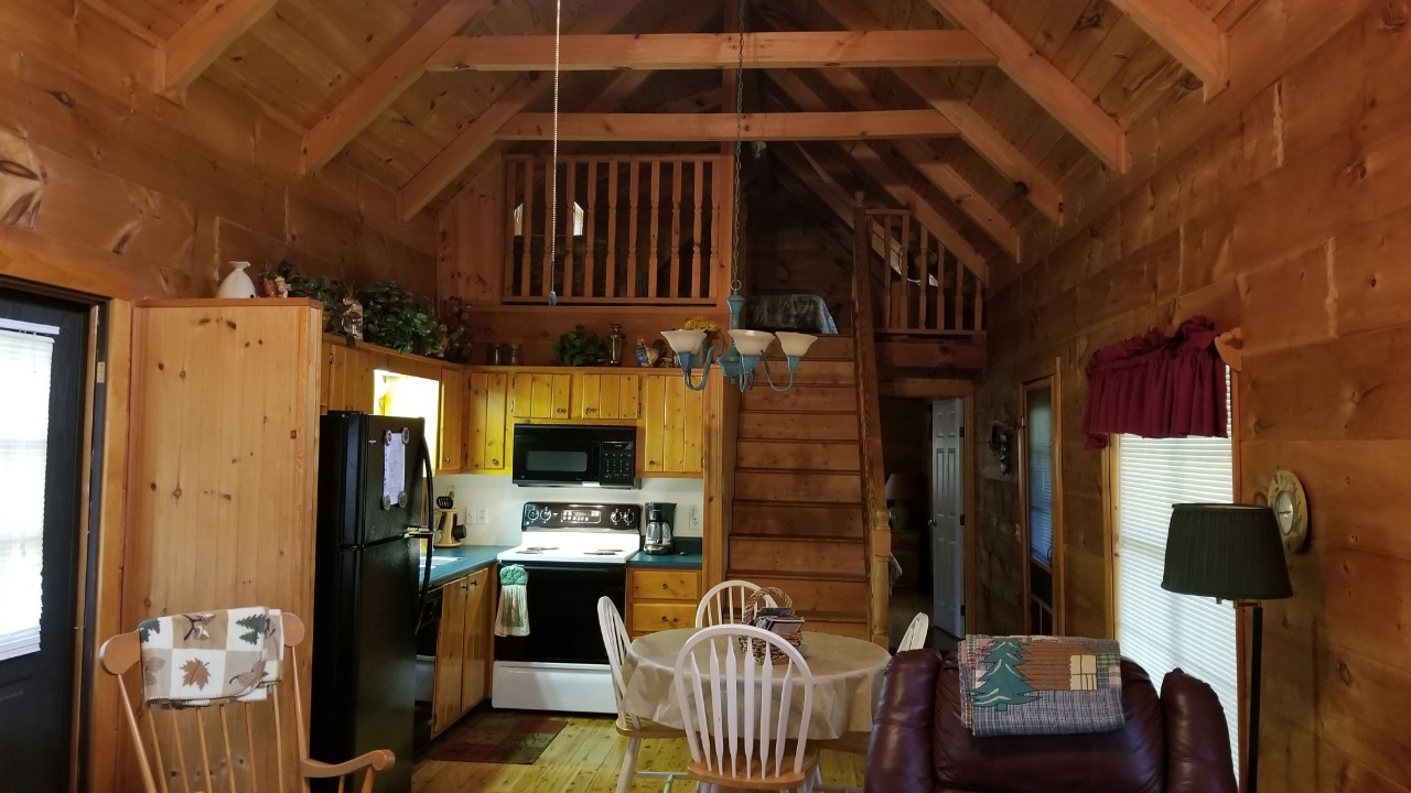 Beautiful living room, log cabin vaction rental in Cedar Mountain near Hendersonville, Brevard and Dupont State Forest NC