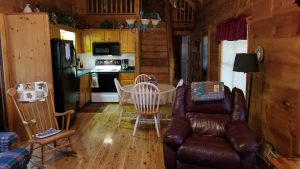 Beautiful living room, log cabin vaction rental in Cedar Mountain near Hendersonville, Brevard and Dupont State Forest NC