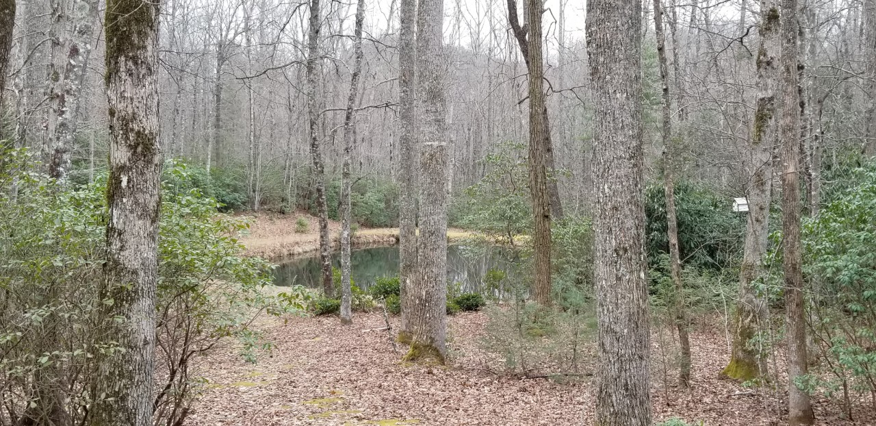 Vacation rental situated on 17 wooded acres, totally private with a stocked trout pond,near Hendersonville, Brevard and Dupont State Forest NC